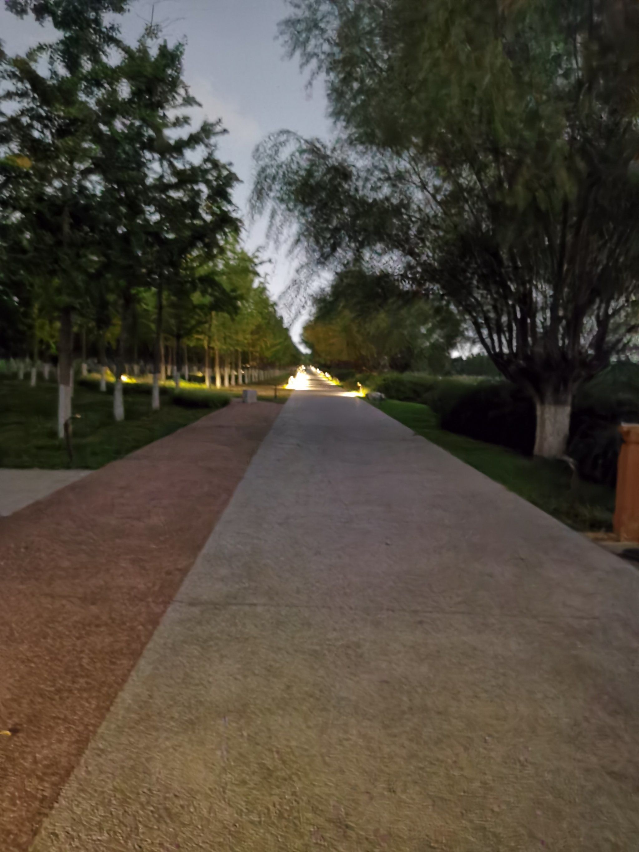晚上的步道