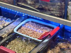 -金海湾海鲜排档(朱家尖店)