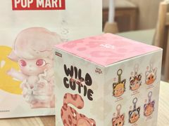 -泡泡玛特POPMART (北京超极合生汇店)