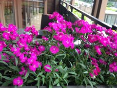 黔蘑菇四季餐厅(观山湖店)-黔蘑菇四季餐厅(观山湖店)