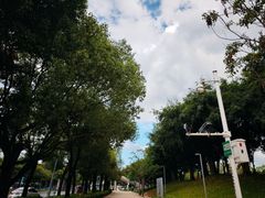 -深圳湾万象城