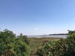 -吴淞炮台湾湿地森林公园烧烤区