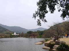 -章记正宗南岗鱼蛋火锅