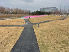 -春花秋色城市公园