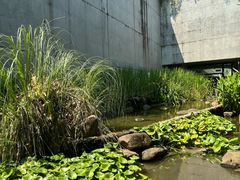 -中国湿地博物馆