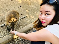 -费瑟代尔野生动物园