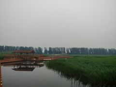 -白洋淀景区
