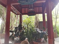-碧水湾温泉