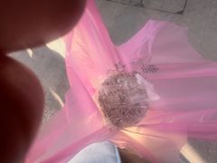 -高桥小香松糕