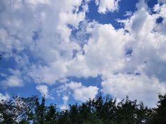 -北京西山国家森林公园