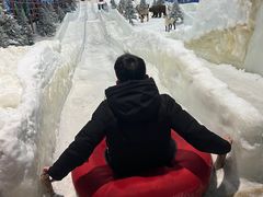 -世界之窗阿尔卑斯冰雪世界