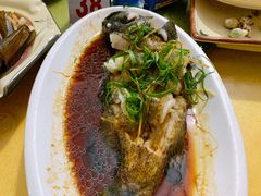 石斑鱼清蒸-八方海味餐厅