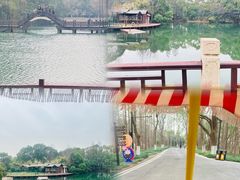-尚湖风景区