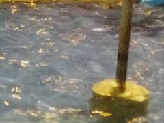 -龙达温泉生态城