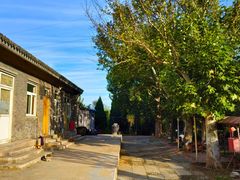 -白水寺森林公园