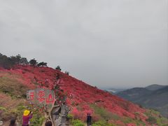 -木兰云雾山