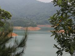 -广州市流溪河国家森林公园