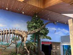 -延庆地质公园博物馆