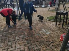 -武汉紫薇都市田园