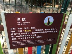 -呀诺达热带雨林