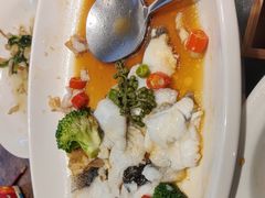 -顺意·顺德家乡菜(国际人才大厦店)