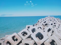 -东疆建设开发纪念公园