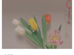 -南京全民健身中心(新街口店)