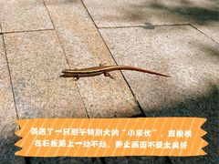 -阿哈湖国家湿地公园