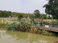 -牛岗山公园