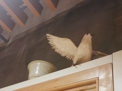 -俭朴菜(鲁磨路店)