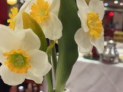 -万荣烤鸭店·北京菜(天坛店)