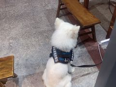 -串掌门砂锅串串香(后瑞店)