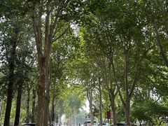-山东大学(洪家楼校区)