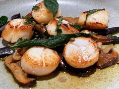 扇贝-La Strada(安福路店)