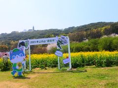 -苏州上方山国家森林公园