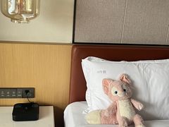 -上海华夏假日酒店