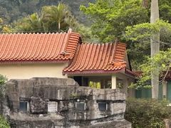 -深圳仙湖植物园