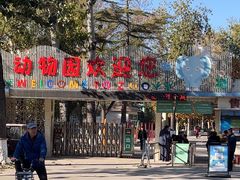 -保定市动物园
