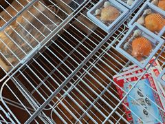 -蓝湾碧波·老字号·疍家非遗海上餐厅