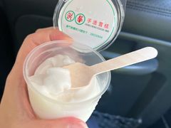 -洪馨椰子