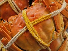 -小陆莲花蟹园农家乐(莲花岛店)