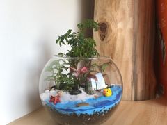 -A+匠心DIY手工坊·首饰·微景观