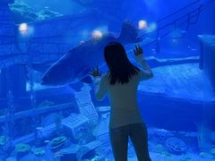 -临沂极地海洋王国