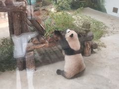 -杭州动物园