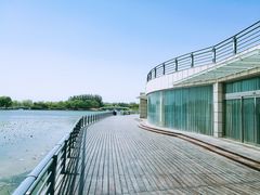 -大兴滨河森林公园