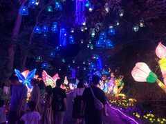 -广西壮族自治区药用植物园