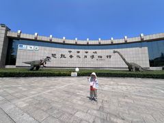 -中国西峡恐龙遗迹园