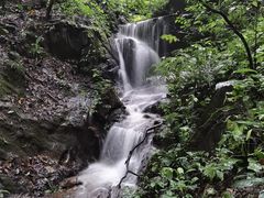 -莫里热带雨林景区