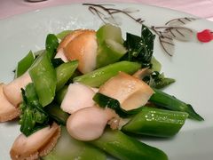 低温鲜鲍拌芥兰-松鹤楼(狮山永利广场店)