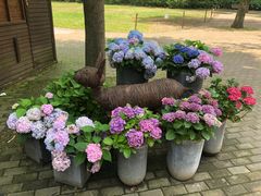 -上海共青森林公园